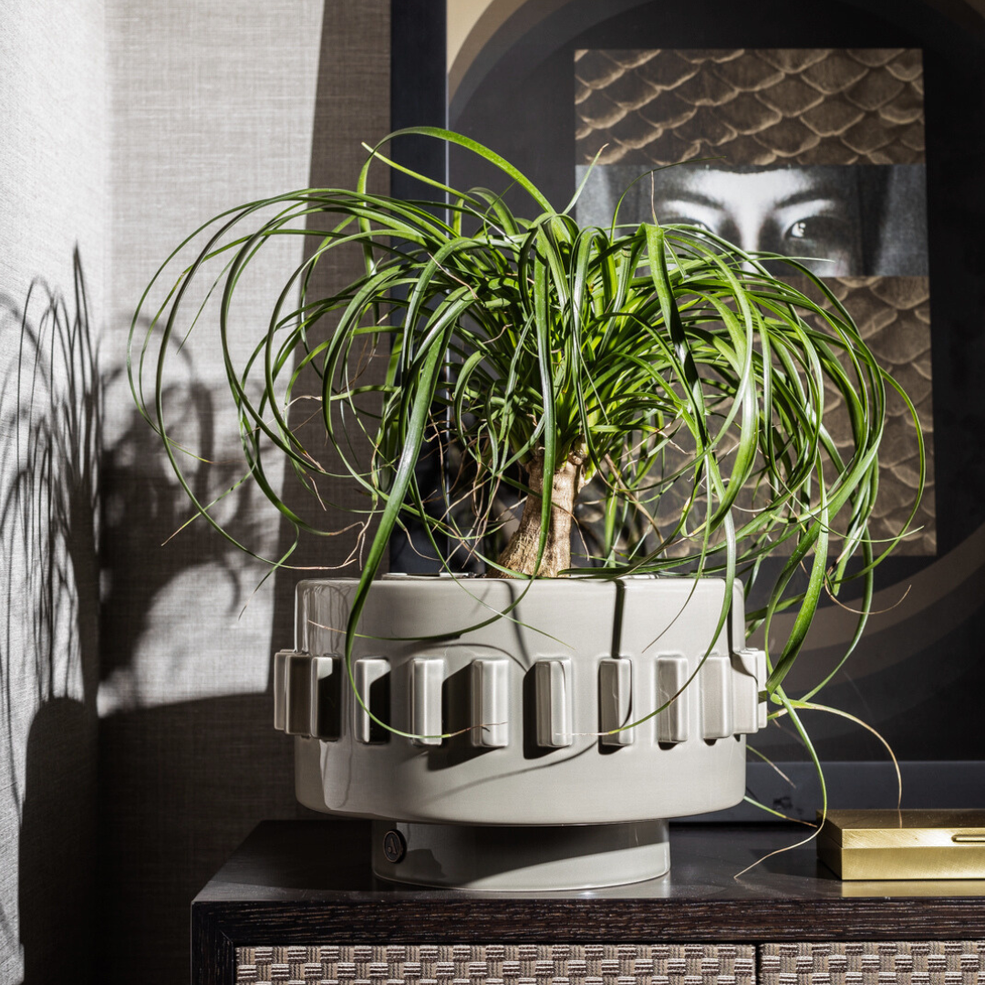 Vase/ boite Criptana - Gris