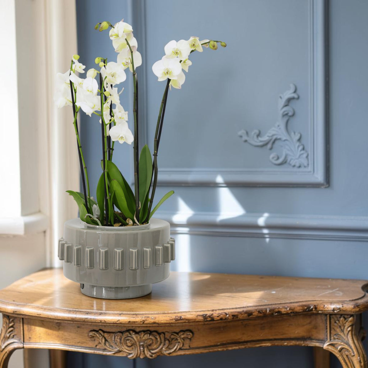 Vase/ boite Criptana - Gris